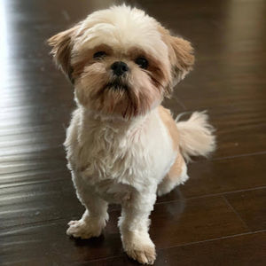 Meet your Posher, Michael